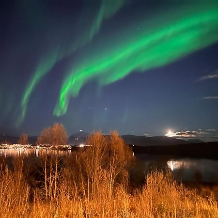 Aurora North Villa Tromsø Exterior foto